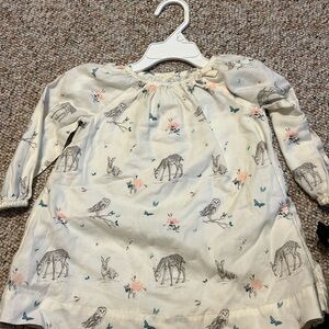 Baby gap dress